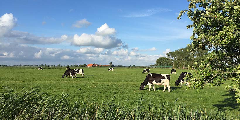 Urlaub in Ostfriesland