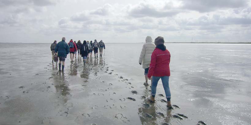 Weltnaturerbe Wattenmeer