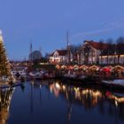 Schwimmender Weihnachtsbaum