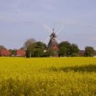 Windmühle Carolinensiel