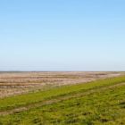 Weltnaturerbe Wattenmeer