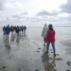 Weltnaturerbe Wattenmeer