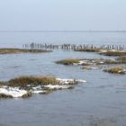 Weltnaturerbe Wattenmeer