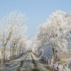Ostfriesland im Winter