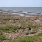 Weltnaturerbe Wattenmeer