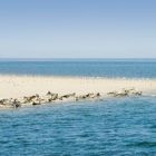 Weltnaturerbe Wattenmeer