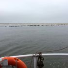 Segelkutter Gebrüder AZ:5